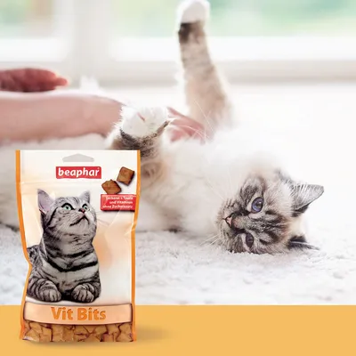Beaphar Vit Bits for cats. Treat with taurine and vitamins, no added sugar.