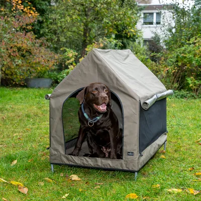 Hond in een draagbare, grijze outdoor-hondentent met gaasramen en stabiele constructie, opgezet in de tuin.
