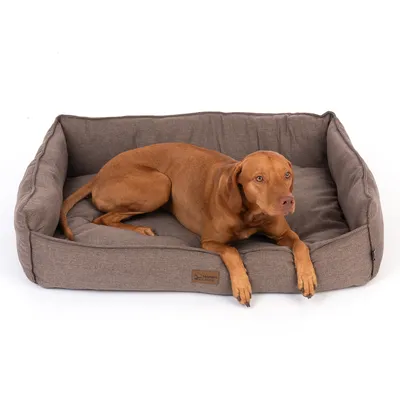 Hund ligger i en brun hundsäng med tygöverdrag. Logotypen 'Modern Living' synlig på sängens framsida.