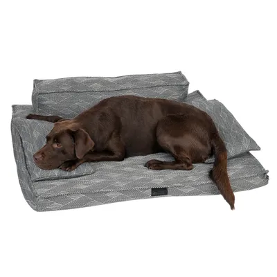 Hund liegt auf grauem Hundebett mit geometrischem Muster. Produkt zeigt Komfort und Design des Bettes.