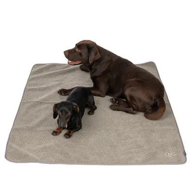 Deux chiens allongés sur une couverture pour chien grise à surface douce. La couverture présente un petit logo dans un coin.