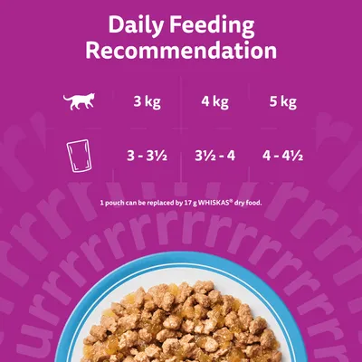 Whiskas 11+ Senior Pouches in Jelly