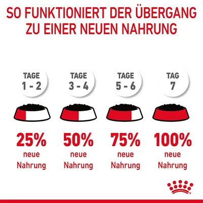Anleitung für Futterumstellung: Tage 1-2, 25% neue Nahrung; Tage 3-4, 50%; Tage 5-6, 75%; Tag 7, 100% neue Nahrung.