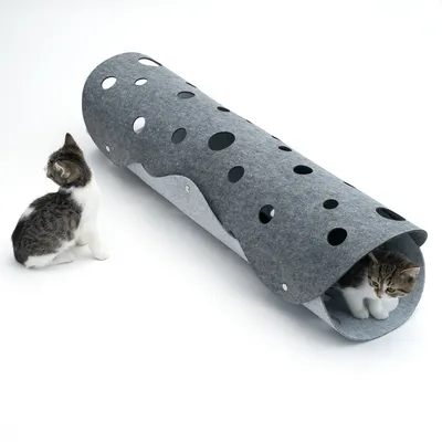 Tunnel pour chat en feutre gris avec plusieurs ouvertures rondes, un chaton à l'intérieur et un autre assis à côté sur fond blanc.