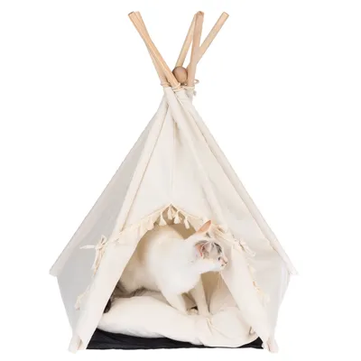 Weisses Tipi-Zelt mit Holzstangen und Fransen, innen eine weisse Katze auf einem gepolsterten Kissen.