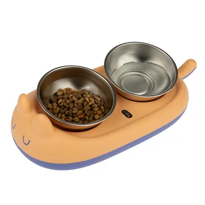 Double stainless steel bowl on an orange-blue cat-shaped mat. One bowl with dry food, one bowl with water.
