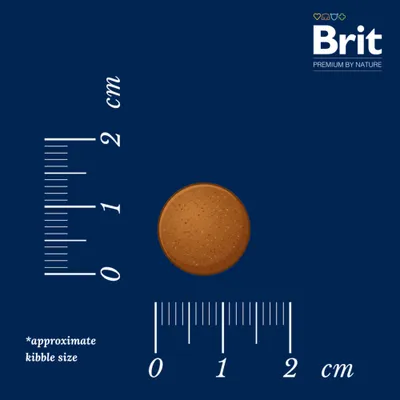 Brit Premium by Nature Senior S/M