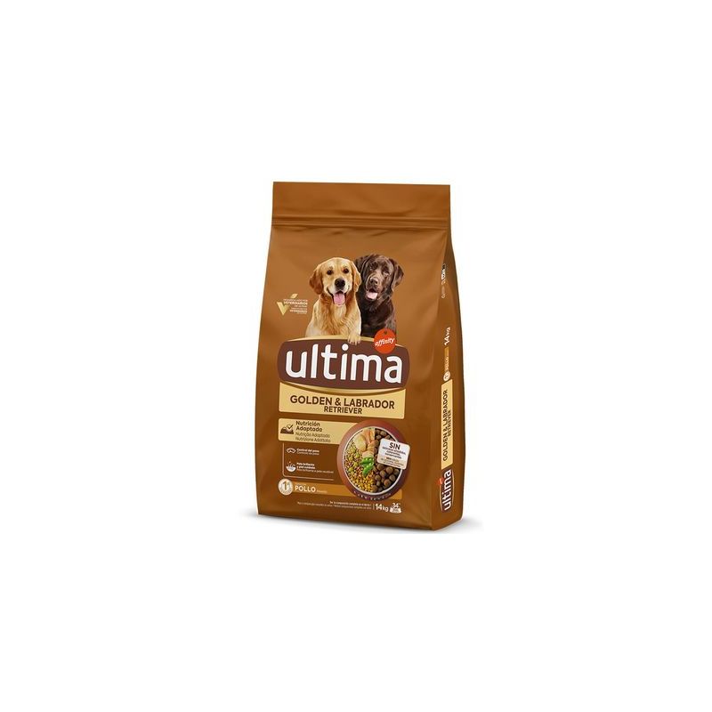 Ultima Golden & Labrador Retriever Kip