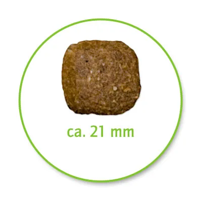 Čtvercový kus suchého krmiva o velikosti cca 21 mm, zobrazený v zeleném kruhu.