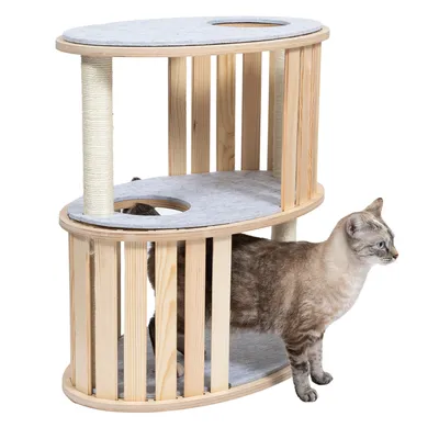 Arbre à chat en bois clair avec deux plateformes ovales recouvertes de feutre gris, poteau à griffer en sisal, un chat adulte beige et gris debout à côté de la structure.