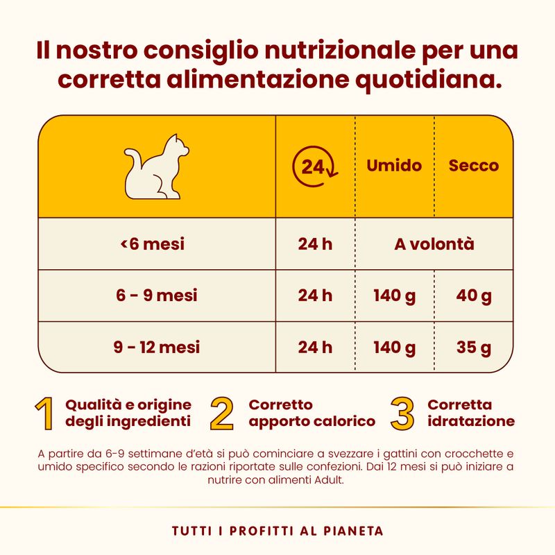Almo Nature HFC Complete Kitten 6 x 70 g Alimento umido per gatto
