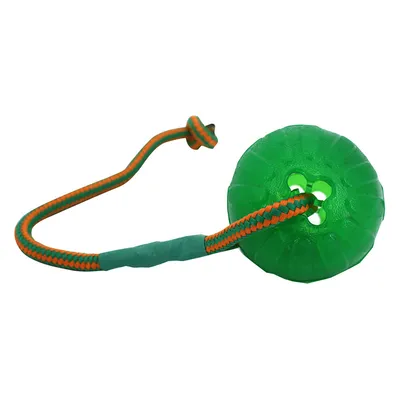 Grünes Spielzeug mit rundem Kunststoffball und orange-grünem Seil, geeignet für Zieh- und Wurfspiele.