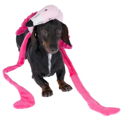 Pies z różową pluszową zabawką w kształcie flaminga, widoczne długie materiałowe ramiona.