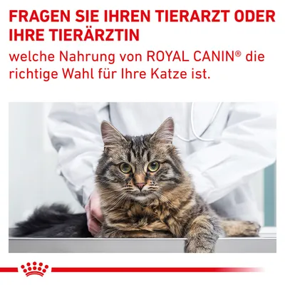 Fragen Sie Ihren Tierarzt oder Ihre Tierärztin, welche Nahrung von Royal Canin die richtige Wahl für Ihre Katze ist.