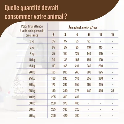 Tableau d’alimentation : poids final attendu de 2 à 70 kg, quantités recommandées par âge (2, 3, 4, 6, 11, 15 mois) en grammes par jour. Exemple : 10 kg, 2 mois, 90 g/jour.
