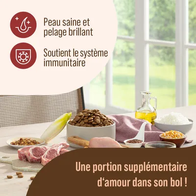 Peau saine et pelage brillant. Soutient le système immunitaire. Une portion supplémentaire d’amour dans son bol ! Texte en français sur image de croquettes et ingrédients variés.
