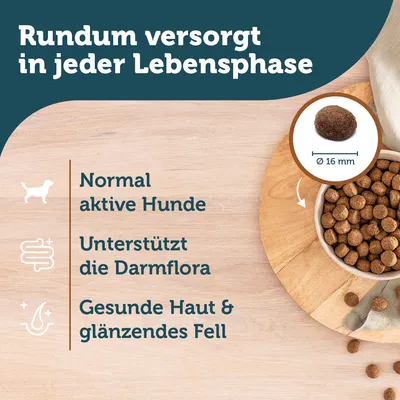 Rundum versorgt in jeder Lebensphase. Normal aktive Hunde, unterstützt die Darmflora, gesunde Haut & glänzendes Fell. Krokettengrösse Ø 16 mm.