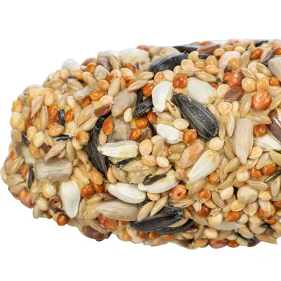 Detailní záběr na ptačí krmný tyč s různými semeny, jako jsou slunečnicová semínka, proso a obiloviny.