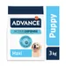 Advance Maxi Puppy Protect Pui și orez