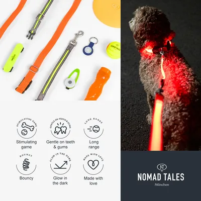 Různé oranžové a neonové doplňky pro psy, včetně vodítek, obojků, míčku, frisbee. Text: Stimulující hra, Šetrné k zubům a dásním, Dlouhý dosah, Pružné, Svítí ve tmě, Vyrobeno s láskou. Různé oranžové a neonové doplňky pro psy, včetně vodítek, obojků, míčku, frisbee. Text: Stimulující hra, Šetrné k zubům a dásním, Dlouhý dosah, Pružné, Svítí ve tmě, Vyrobeno s láskou.