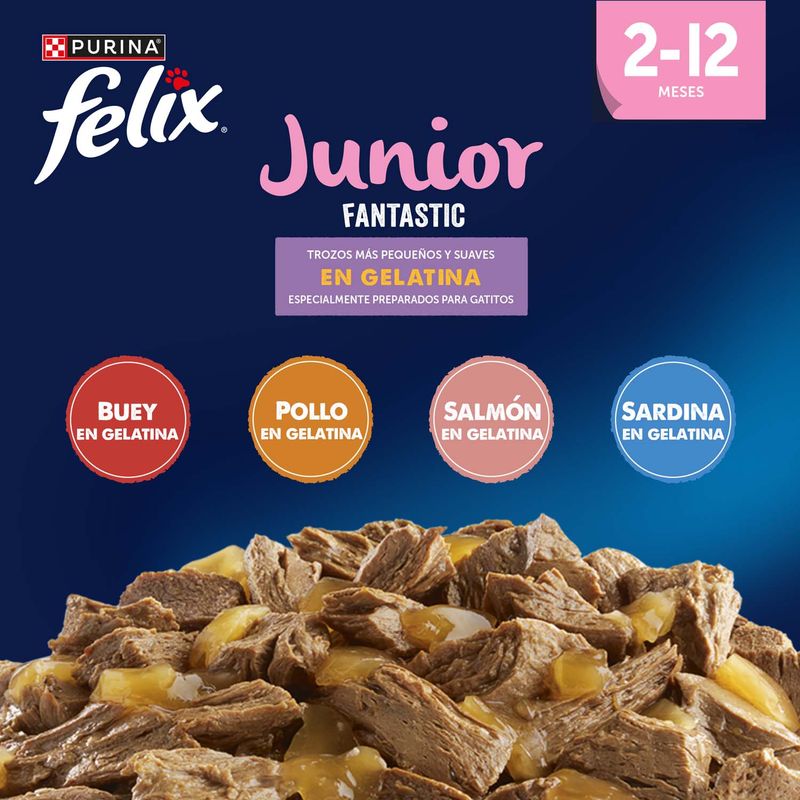 Felix Fantastic Junior en gelatina