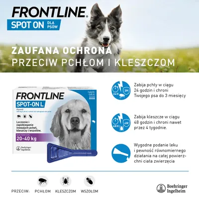 FRONTLINE Spot On dla psów 20–40 kg. Zaufana ochrona przeciw pchłom i kleszczom. Zabija pchły w 24 h, chroni do 3 miesięcy; kleszcze w 48 h, chroni 4 tygodnie. Wygodne podanie leku.