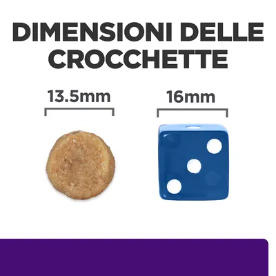 Dimensioni delle crocchette: diametro 13,5 mm a confronto con un dado blu da 16 mm. Testo visibile: 'DIMENSIONI DELLE CROCCHETTE', '13.5 mm', '16 mm'.