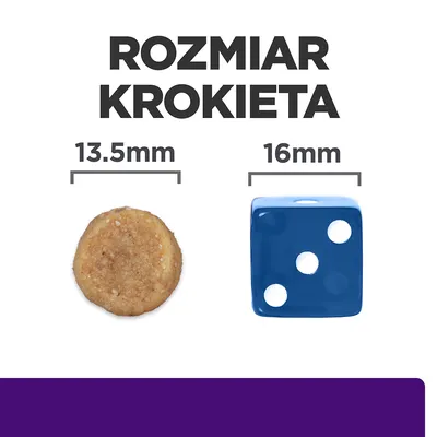 Rozmiar krokieta: średnica 13,5 mm obok kostki do gry o boku 16 mm. Porównanie wielkości krokieta i kostki.