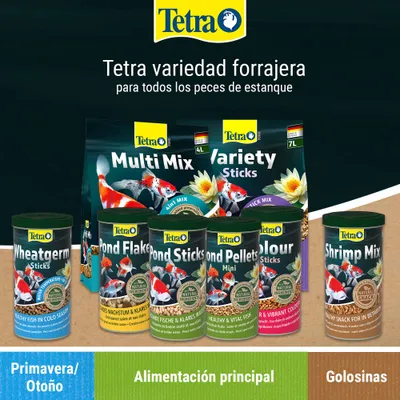 Tetra surtido de alimentos para peces: pack mixto, Variety Sticks, Wheatgerm Sticks, Pond Flakes, Pond Sticks, Pond Pellets Mini, Colour Sticks, Shrimp Mix. Categorías: alimento principal, snacks, alimento de temporada. Tetra surtido de alimentos para peces: pack mixto, Variety Sticks, Wheatgerm Sticks, Pond Flakes, Pond Sticks, Pond Pellets Mini, Colour Sticks, Shrimp Mix. Categorías: alimento principal, snacks, alimento de temporada.