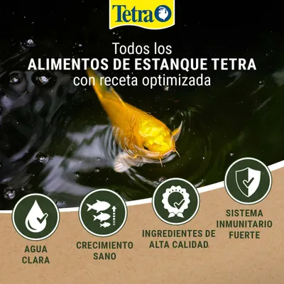 Tetra. Todos los alimentos para estanques Tetra con fórmula optimizada: agua clara, crecimiento saludable, ingredientes de alta calidad, sistema inmunitario fuerte. Tetra. Todos los alimentos para estanques Tetra con fórmula optimizada: agua clara, crecimiento saludable, ingredientes de alta calidad, sistema inmunitario fuerte.