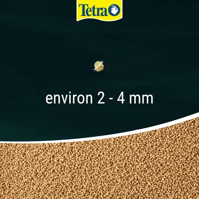 Tetra granulés alimentaires, taille d'environ 2–4 mm, avec l'image d'un granulé individuel et de nombreux granulés en arrière-plan. Tetra granulés alimentaires, taille d'environ 2–4 mm, avec l'image d'un granulé individuel et de nombreux granulés en arrière-plan.