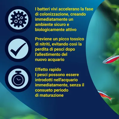 Immagine con vantaggi: Rapida colonizzazione grazie ai batteri vivi, previene i picchi di nitriti e la perdita di pesci, possibile inserimento immediato dei pesci nell'acquario. Immagine con vantaggi: Rapida colonizzazione grazie ai batteri vivi, previene i picchi di nitriti e la perdita di pesci, possibile inserimento immediato dei pesci nell'acquario.