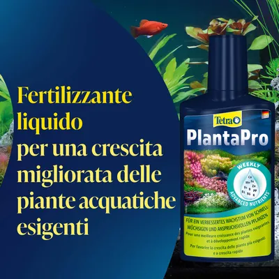 Tetra PlantaPro fertilizzante liquido per una crescita migliorata delle piante acquatiche esigenti. Contiene nutrienti settimanali come Co, Mn, Fe, Zn, B2, B6, PP. Tetra PlantaPro fertilizzante liquido per una crescita migliorata delle piante acquatiche esigenti. Contiene nutrienti settimanali come Co, Mn, Fe, Zn, B2, B6, PP.