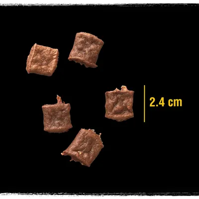 Pięć kwadratowych kawałków karmy lub przysmaków, każdy o wymiarze 2,4 cm, widoczny na czarnym tle z żółtym napisem „2.4 cm”.