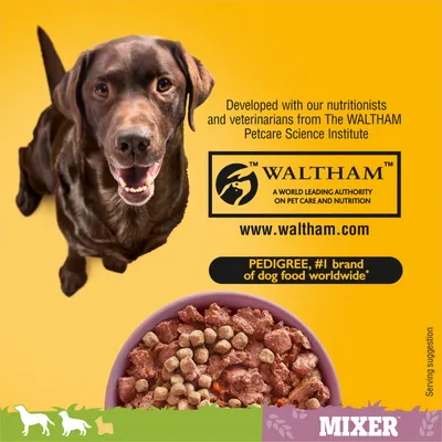 Developed with nutritionists and veterinarians from WALTHAM Petcare Science Institute. PEDIGREE, number one brand of dog food worldwide. Bowl showing mixed wet and dry food.