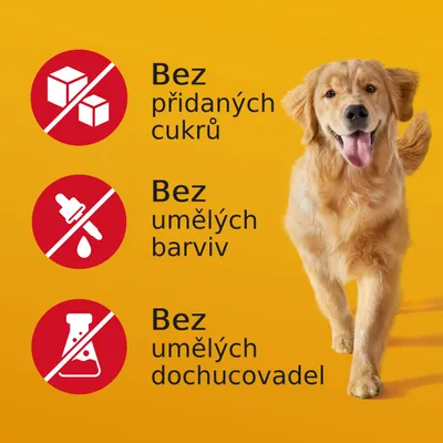 Bez přidaných cukrů, bez umělých barviv, bez umělých dochucovadel – tři červené ikony s přeškrtnutými symboly a textem vedle psa na žlutém pozadí.
