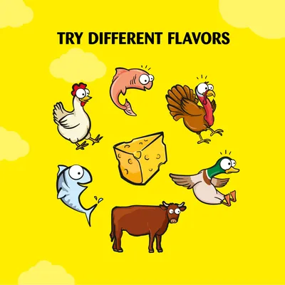 Try different flavours: chicken, salmon, turkey, cheese, fish, beef and duck shown as cartoon images.