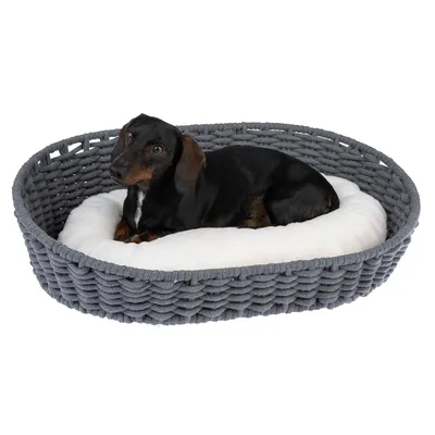 Ovaal hondenbed van grijs gevlochten materiaal met wit kussen. Zwarte hond ligt ontspannen in het bed.