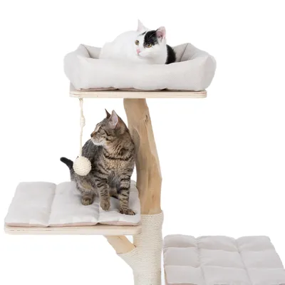 Kratzbaum aus Holz mit drei Ebenen, gepolsterten Liegeflächen und Spielball. Zwei Katzen demonstrieren Nutzung der oberen und mittleren Plattform.
