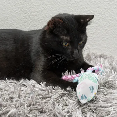 Black cat playing with a white mouse-shaped toy decorated with colourful ribbons and floral patterns on a grey carpet.