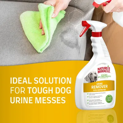 Spray bottle of urine remover and hand cleaning a stain on fabric, with text stating 'Ideal solution for tough dog urine messes'.
