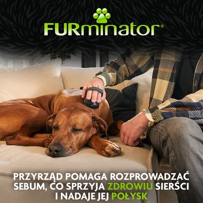 FURminator urządzenie pielęgnacyjne stosuje się na sierści psa. Urządzenie rozprowadza sebum, wspiera zdrowie i połysk sierści zgodnie z informacją na obrazku. FURminator urządzenie pielęgnacyjne stosuje się na sierści psa. Urządzenie rozprowadza sebum, wspiera zdrowie i połysk sierści zgodnie z informacją na obrazku.