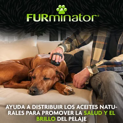 FURminator. Ilustra el uso de un cepillo en un perro para promover la salud y el brillo del pelaje mediante la distribución de aceites naturales. FURminator. Ilustra el uso de un cepillo en un perro para promover la salud y el brillo del pelaje mediante la distribución de aceites naturales.
