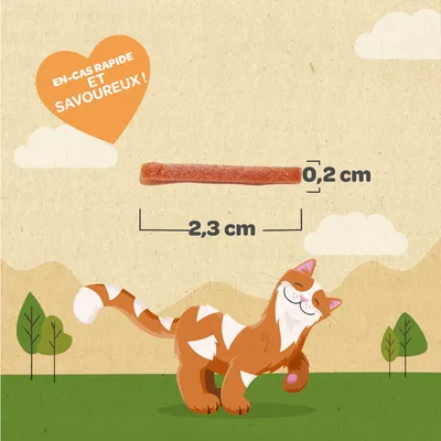 Bâtonnet pour chat, dimensions indiquées : 2,3 cm de long et 0,2 cm d’épaisseur. Texte visible : « EN-CAS RAPIDE ET SAVOUREUX ! »