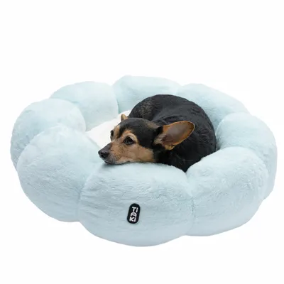 Chien allongé dans un lit pour animaux Tiaki bleu clair et moelleux avec côtés rembourrés.