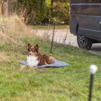 Hund liegt auf einer grauen Matte in einem umzäunten Bereich im Freien neben einem Napf. Im Hintergrund ein Transporter und grüne Landschaft.