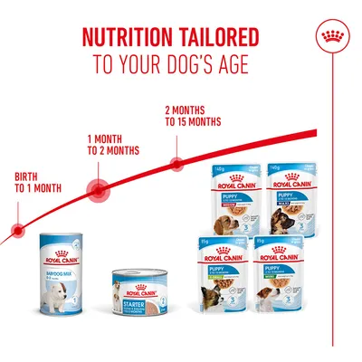 Royal Canin Feeding recommendation by age: Babydog Milk for birth to 1 month, Starter for 1–2 months, Puppy products for 2–15 months. Products shown with images of dogs. Royal Canin Feeding recommendation by age: Babydog Milk for birth to 1 month, Starter for 1–2 months, Puppy products for 2–15 months. Products shown with images of dogs.