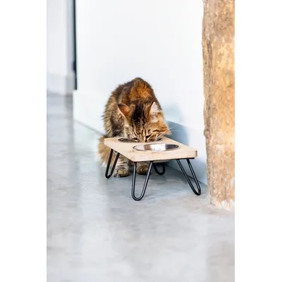 Designed by Lotte Linga vacsorázó szett