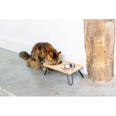 Designed by Lotte Linga vacsorázó szett