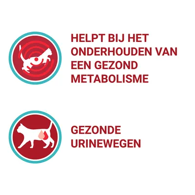 Helpt bij het onderhouden van een gezond metabolisme. Gezonde urinewegen.